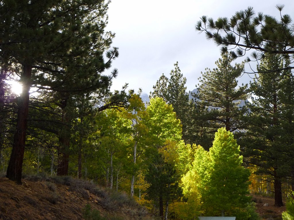 California-Fall2010 401.JPG